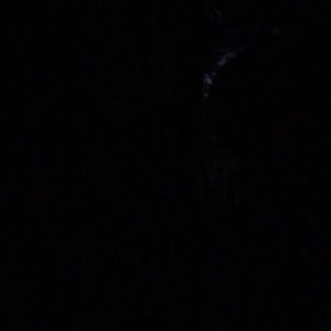 Meet your Posher, Ken